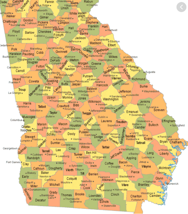 Georgia State Reports